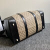 Modern Style Trendy GG Handbag 244