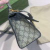 Modern Style Trendy GG Handbag 243 Modern Style Trendy GG Handbag 243