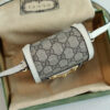 Modern Style Trendy GG Handbag 239