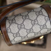 Modern Style Trendy GG Handbag 239