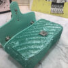 Modern Style Trendy GG Handbag 237
