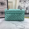 Modern Style Trendy GG Handbag 237