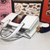Modern Style Trendy GG Handbag 228