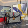 Modern Style Trendy GG Handbag 227