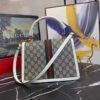 Modern Style Trendy GG Handbag 227