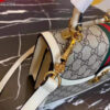 Modern Style Trendy GG Handbag 227