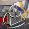 Modern Style Trendy GG Handbag 227