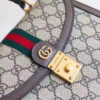 Modern Style Trendy GG Handbag 227