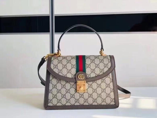 Modern Style Trendy GG Handbag 227