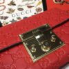 Modern Style Trendy GG Handbag 216