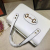 Modern Style Trendy GG Handbag 151