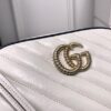Modern Style Trendy GG Handbag 125