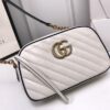 Modern Style Trendy GG Handbag 125