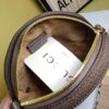 Modern Style Trendy GG Handbag 15