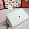 Modern Style Trendy GG Handbag 14
