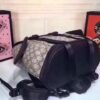 Modern Style Trendy GG Handbag 07