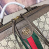 Modern Style Trendy GG handbag 079