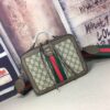 Modern Style Trendy GG handbag 079