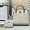Modern Style Trendy Bag G3931_3