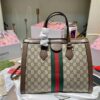 Modern Style Trendy Bag G3887