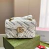 Modern Style Trendy Bag G3790