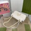 Modern Style Trendy Bag G3489