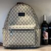 Modern Style Trendy Bag G3300