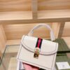 Modern Style Trendy Bag G391