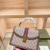 Modern Style Trendy Bag G391