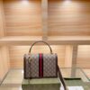 Modern Style Trendy Bag G391