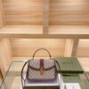 Modern Style Trendy Bag G391