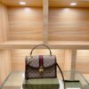 Modern Style Trendy Bag G391
