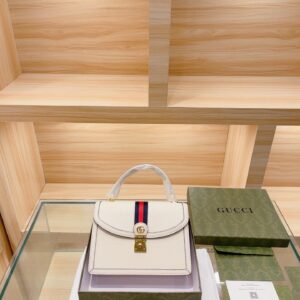 Modern Style Trendy Bag G391