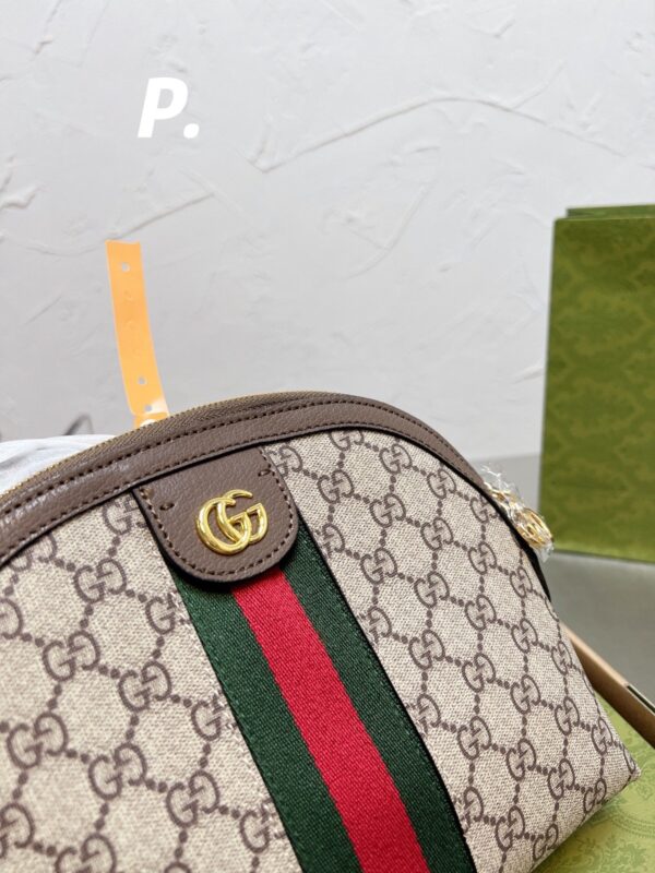 Modern Style Trendy Bag G388