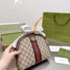 Modern Style Trendy Bag G388