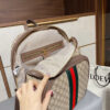 Modern Style Trendy Bag G347 Modern Style Trendy Bag G347