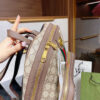 Modern Style Trendy Bag G347 Modern Style Trendy Bag G347