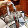 Modern Style Trendy Bag G338 Modern Style Trendy Bag G338
