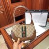 Modern Style Trendy Bag G337
