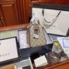 Modern Style Trendy Bag G335