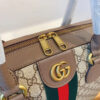 Modern Style Trendy Bag G319