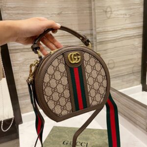 Modern Style Trendy Bag G3127