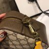 Modern Style Trendy Bag G301