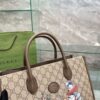 Modern Style Trendy GG Handbag 036 Modern Style Trendy GG Handbag 036