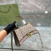 Modern Style Trendy GG Handbag 012