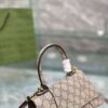 Modern Style Trendy GG Handbag 012