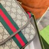Modern Style Trendy GG Handbag 011