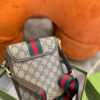 Modern Style Trendy GG Handbag 011