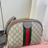 Modern Style Trendy GG Handbag 006