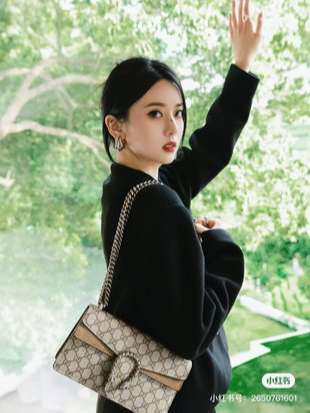 Modern Style Trendy GG Handbag 004